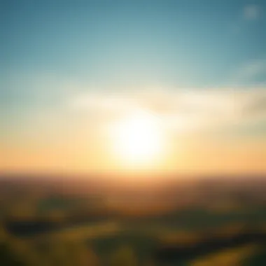 Magnificent Онлайн регистрация на рейс компании Азур