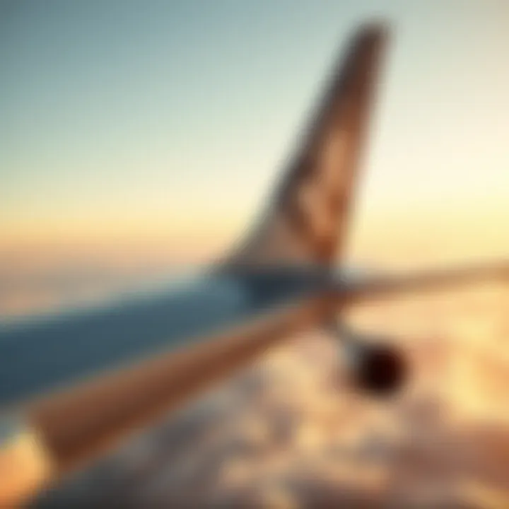 Magnificent Отзывы об авиакомпании Etihad Airways в 2023 году Magnificent Отзывы об авиакомпании Etihad Airways в 2023 году