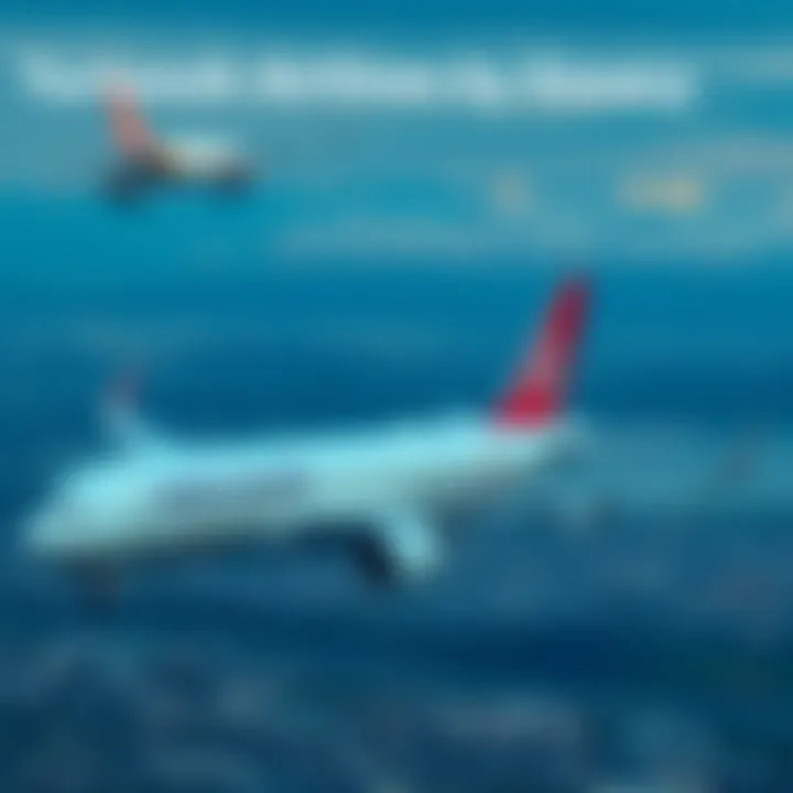 Magnificent Требования к багажу Turkish Airlines: Полное руководство