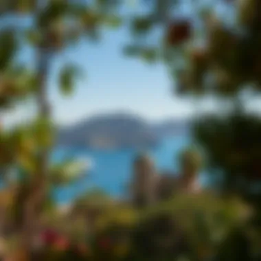 Аль Мактум: География и Культурное Наследие Summary Аль Мактум: География и Культурное Наследие Summary