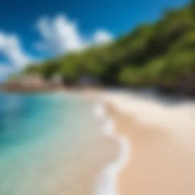 Tourists enjoying the pristine beaches of Seychelles