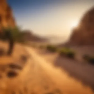 Discover the Stunning Arabian Landscapes A breathtaking view of Arabian landscapes