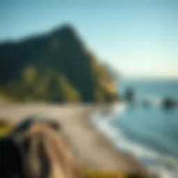 Авиабилеты из Екатеринбурга в Анталию: Прямые рейсы и чартеры Introduction