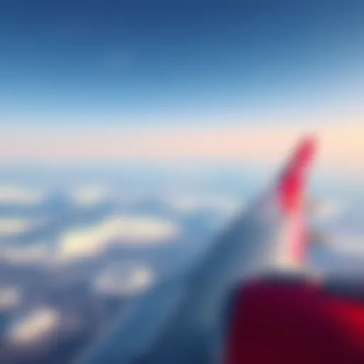 Авиакомпания Air Arabia: Обзор и Анализ Introduction