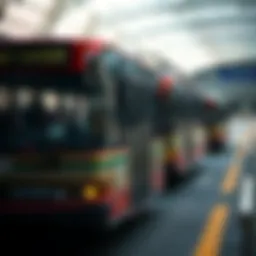 Автобусные маршруты между Венецией и Римини: Путеводитель по трансферу Introduction