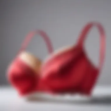 Collection of diverse bra styles for B cup