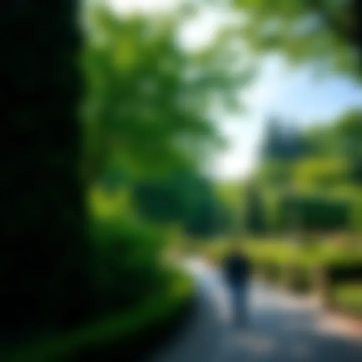 The lush greenery of Stadtpark