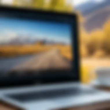 Travel Resources on Computer Screen A close-up of a computer screen displaying travel resources