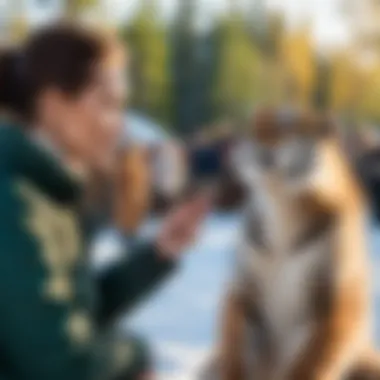 Engaging Interactive Experiences Await at Chelyabinsk Zoo Interactive Attractions at Chelyabinsk Zoo