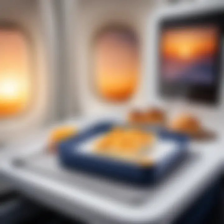 Amenities available on an Aeroflot flight, highlighting comfort options