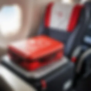 Safety regulations for carry-on items on flights