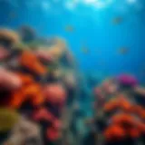 Vibrant coral reef teeming with marine life