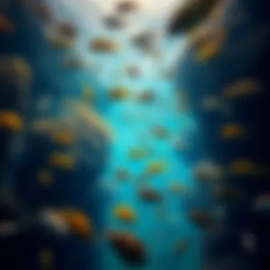 Underwater landscape showcasing diverse fish species