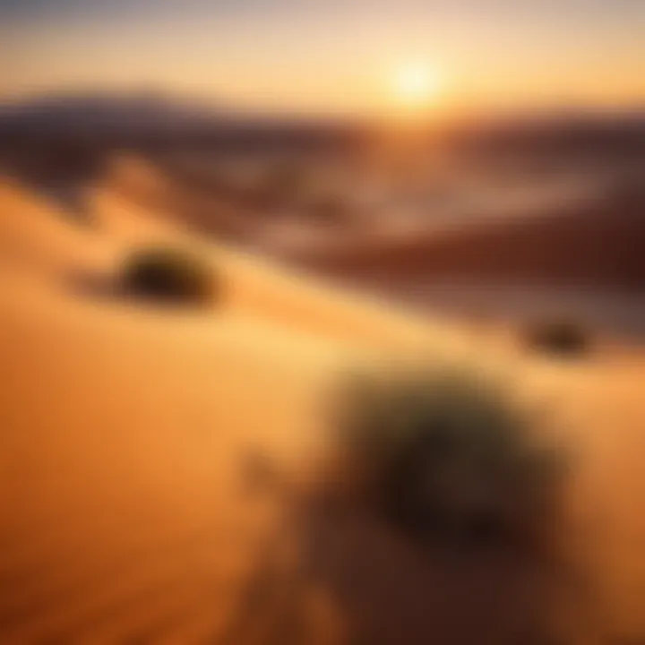 Breathtaking desert landscape during sunset