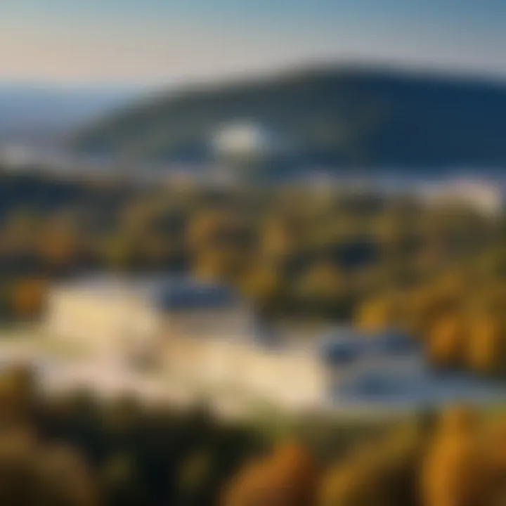 Panoramic view of Schönbrunn Palace from the surrounding hills