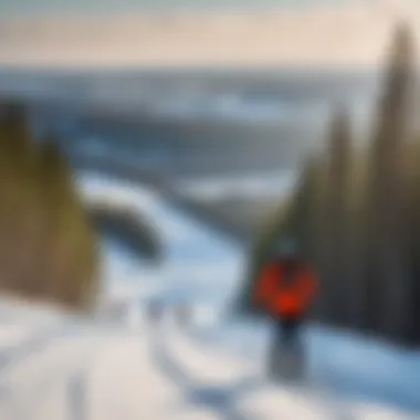 Skiers enjoying the slopes at a popular Belarusian ski resort