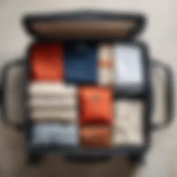 A stylish carry-on bag showcasing organized packing.