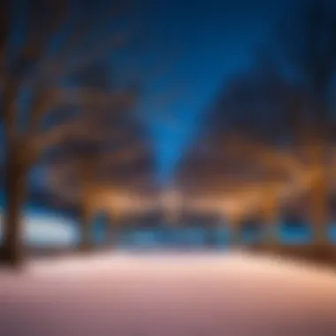 Twinkling lights adorning the ice rink area