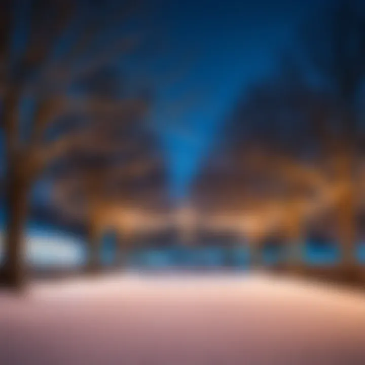 Twinkling lights adorning the ice rink area