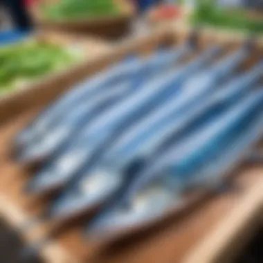 Fresh Blue Marlin fish displayed at a local market in Turkey