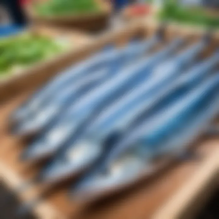 Fresh Blue Marlin fish displayed at a local market in Turkey