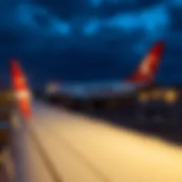 Габариты багажа Turkish Airlines: полный обзор Introduction