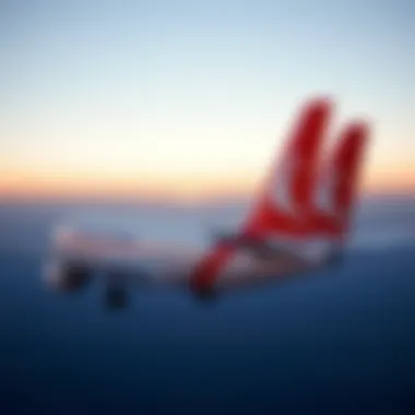 Notable Габариты багажа Turkish Airlines: полный обзор