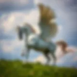 Габариты ручной клади Pegasus: Все, что нужно знать Introduction
