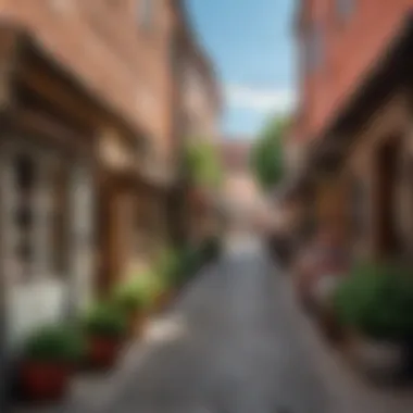 Quiet alleyway filled with local shops