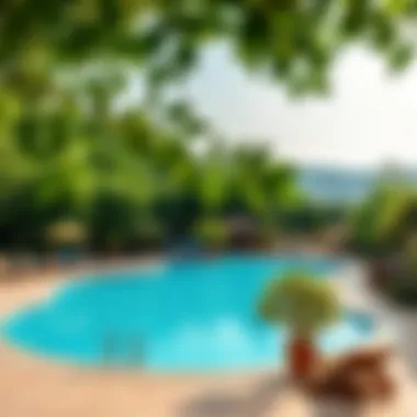 Relaxing pool area surrounded by lush greenery