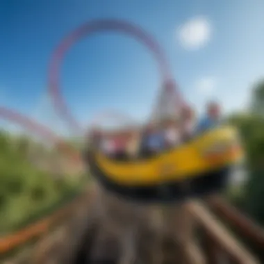 Visitors enjoying a roller coaster in an amusement park