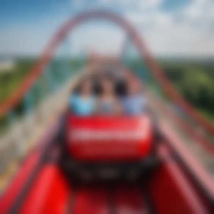 Visitors enjoying a thrilling roller coaster ride