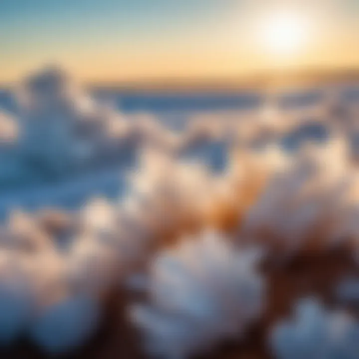 A close-up of salt crystals glistening under the sunlight, highlighting their natural beauty.