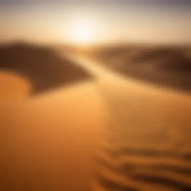 A thrilling view of the Dubai Desert Safari, featuring adventurous dune bashing and camel rides.