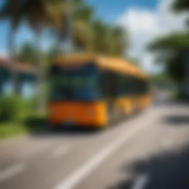 Accessible Transit Options to Yelagin Island Public transportation near Yelagin Island