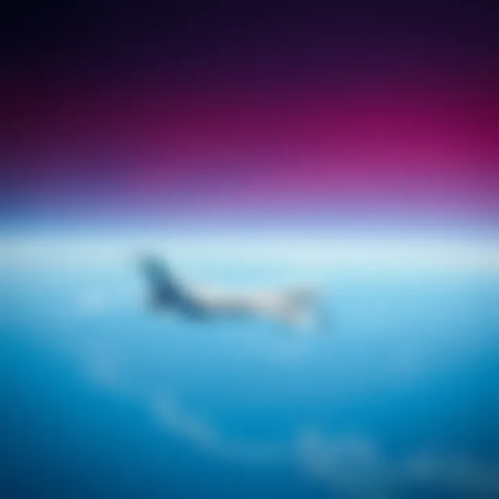 Нормы провоза багажа в South Wind Airlines Summary