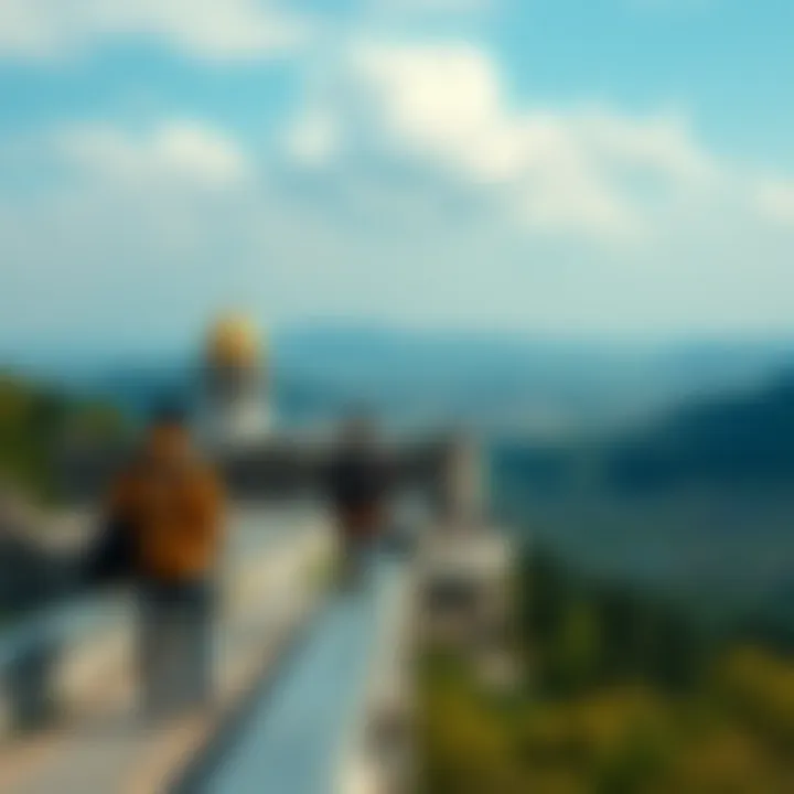 Обзор авиакомпаний: что нужно знать Introduction