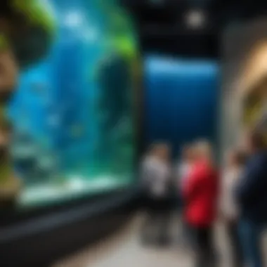 Interactive exhibits engaging visitors at the Ekaterinburg Oceanarium.