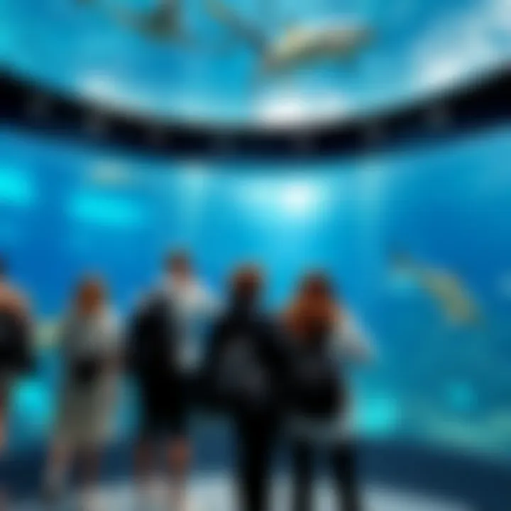 Visitors exploring the oceanarium's main exhibits