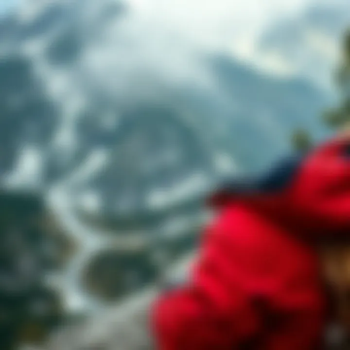 Notable Онлайн регистрация на рейс компании Азур