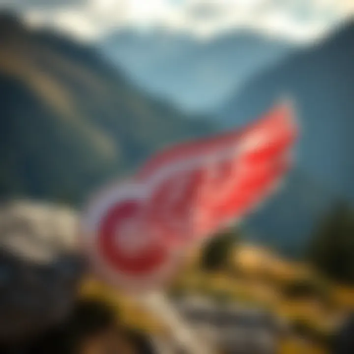 Онлайн регистрация на рейс Red Wings Summary Онлайн регистрация на рейс Red Wings Summary