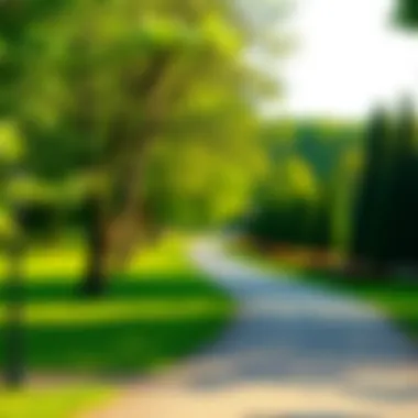 Serene garden paths within the Oranienbaum park, perfect for leisurely strolls