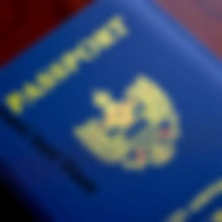 Understanding Visa Requirements Close-up of a passport with visa stamps