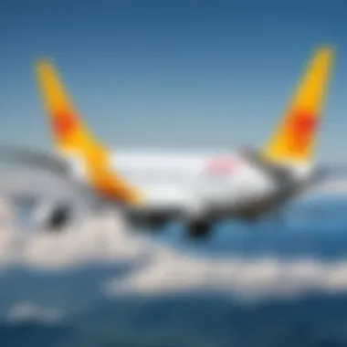 Pegasus Airlines logo displayed prominently