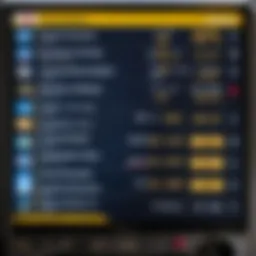 Pegasus Airlines flight check interface