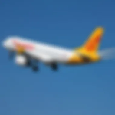 Pegasus Airlines aircraft in flight against a clear sky