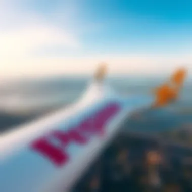 Pegasus Airlines logo
