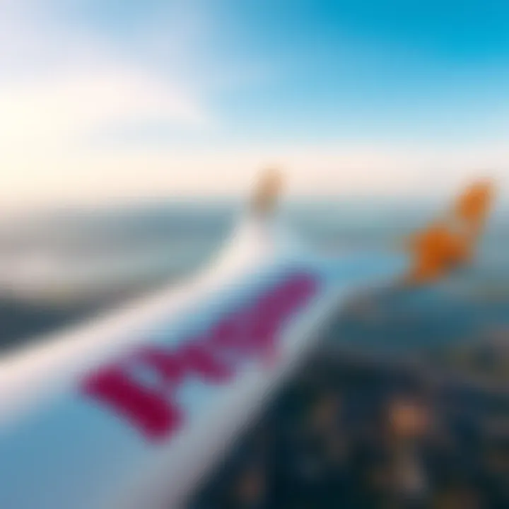 Pegasus Airlines logo