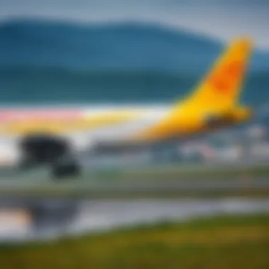 Screenshot of Pegasus Airlines official website homepage