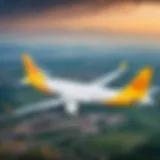 Overview of Pegasus Airlines Services